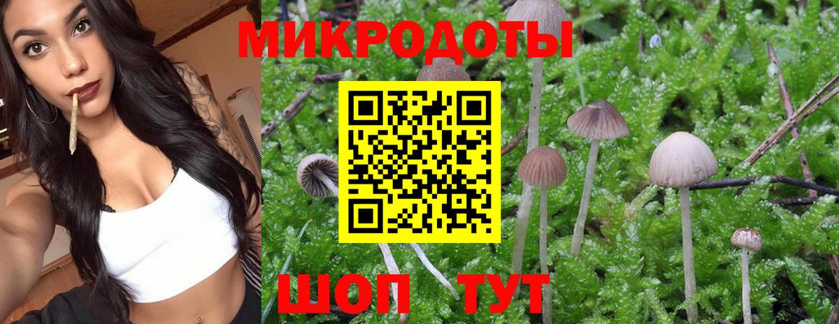 Псилоцибиновые грибы прущие грибы  Псилоцибиновые грибы Magic Shrooms  Выкса  Вход с VPN 